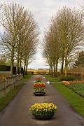 IMG_1580