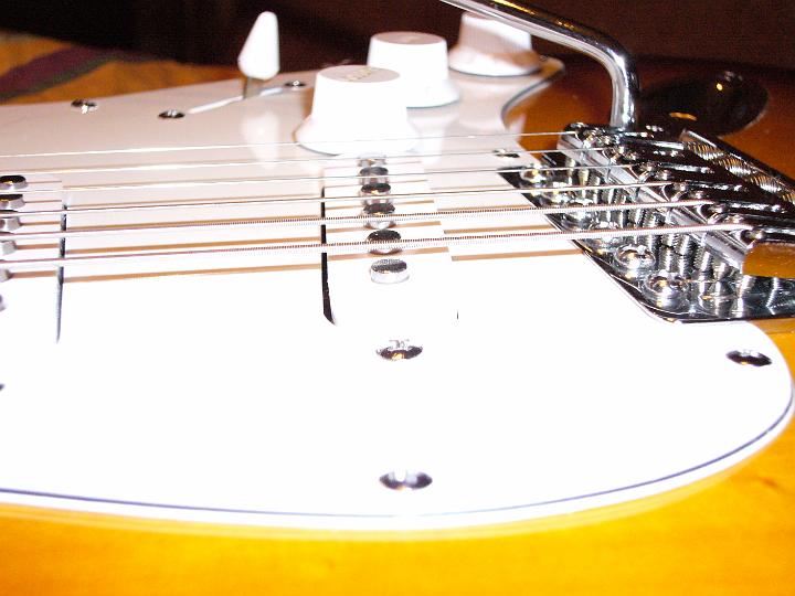 P1000909.JPG