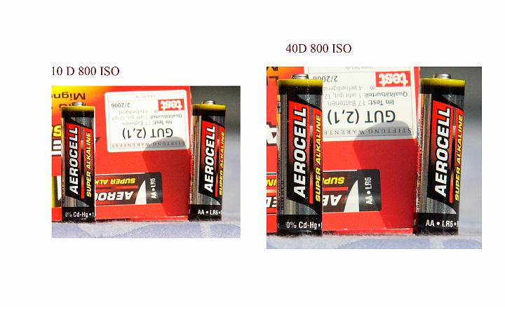 10D vs 40D 800 ISO.jpg