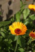 IMG_0503