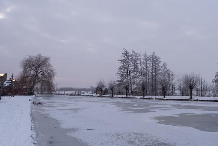 L1000004.jpg