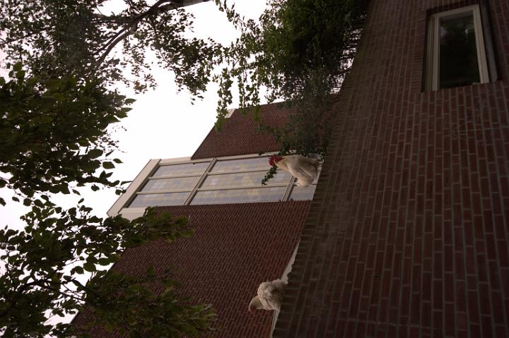 CRW_0081.CRW