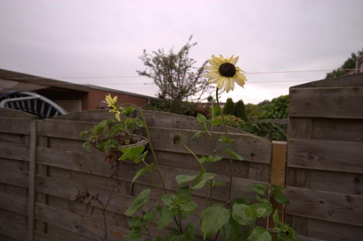 CRW_0095.CRW