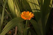IMG_5720