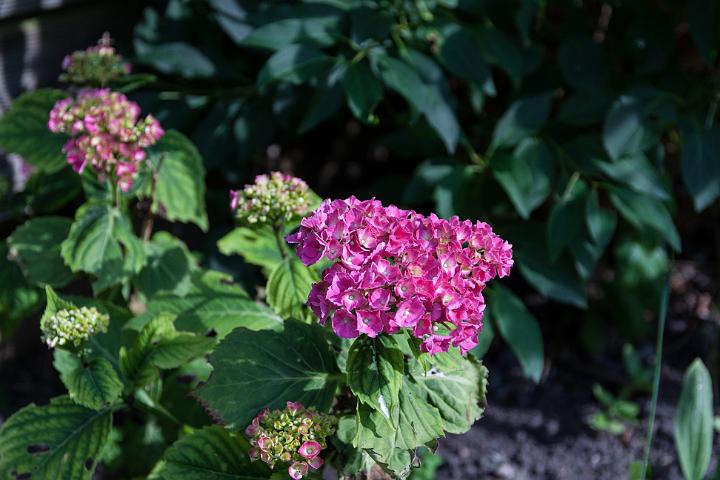 IMG_5704.jpg
