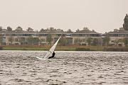 IMG_0816_1