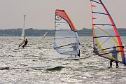 IMG_0451