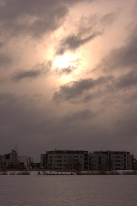 IMG_3725.CR2