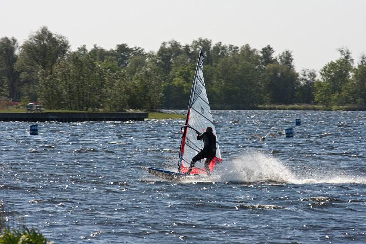 IMG_4768.jpg