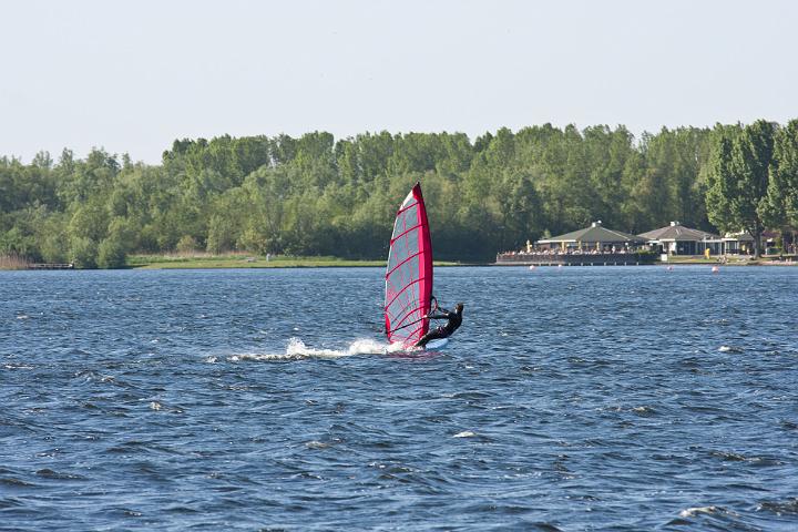 IMG_4769.jpg