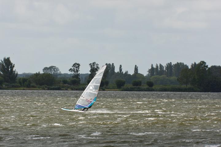 IMG_5425.jpg
