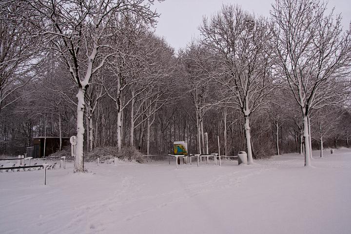 IMG_4604.jpg