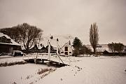 IMG_4556