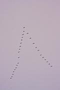IMG_4597