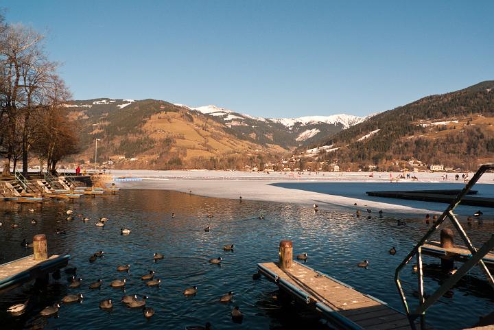 P1010819.jpg